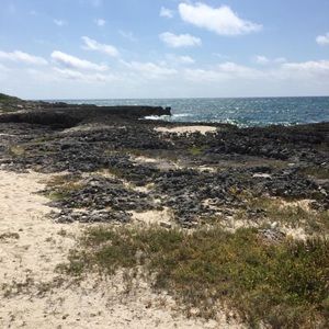 Meet your Posher, Candace